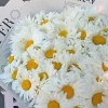 Букет из ромашек  "Юность"